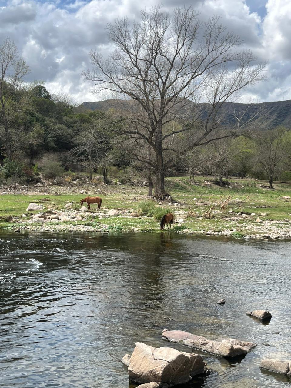 Los mejores lugares de Córdoba para disfrutar de la primavera al aire libre